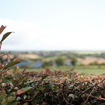 Drumnavaddy Cottage Dromore  Zewnętrze zdjęcie